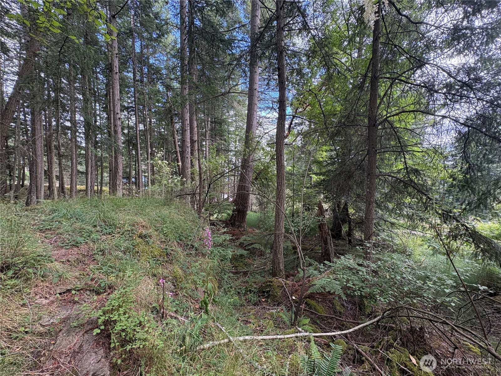 0 Lot 14 Rosario Road Lot 14 Property Photo 20
