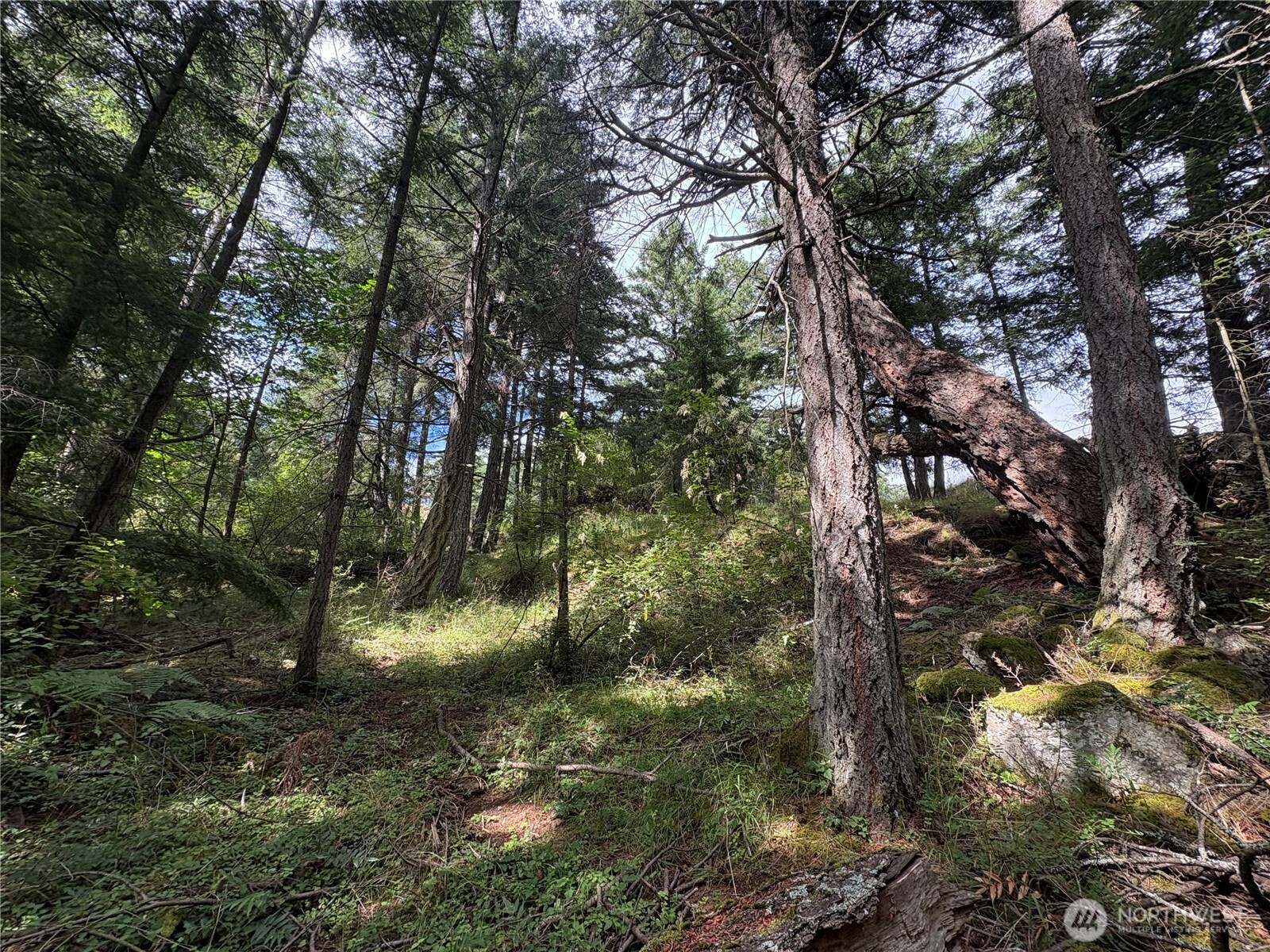 0 Lot 14 Rosario Road Lot 14 Property Photo 21