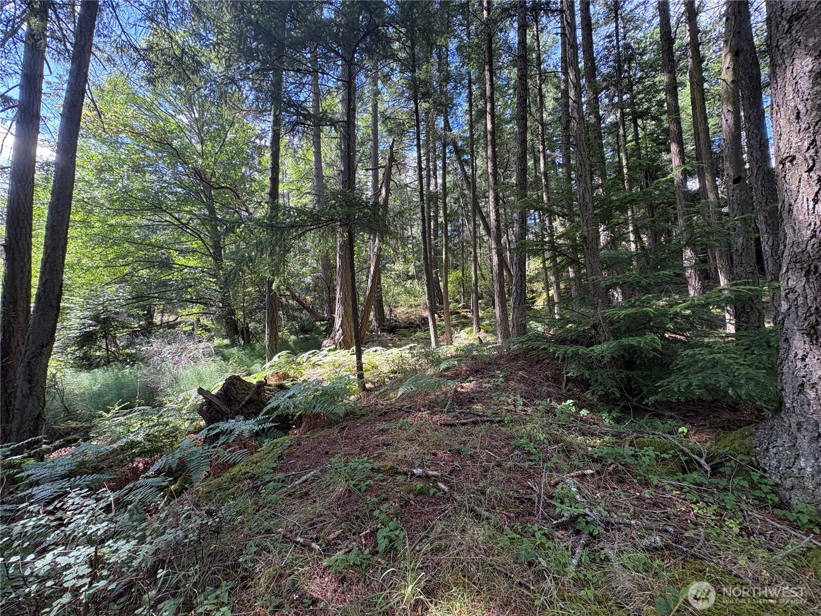 0 Lot 14 Rosario Road Lot 14 Property Photo 27