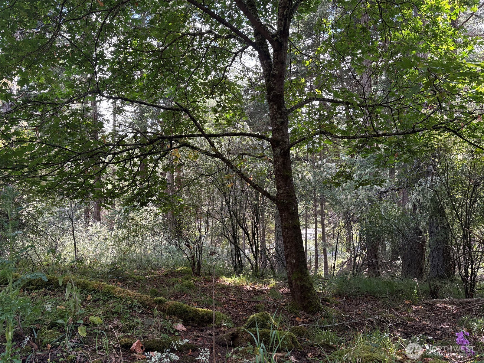 0 Lot 14 Rosario Road Lot 14 Property Photo 28