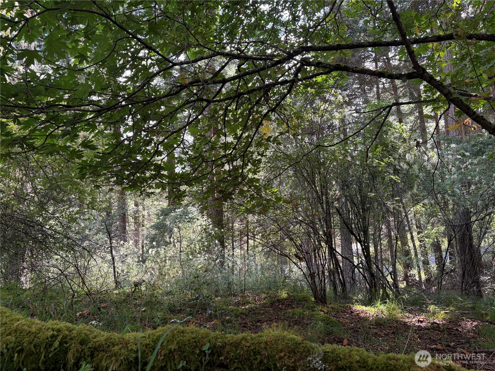 0 Lot 14 Rosario Road Lot 14 Property Photo 29
