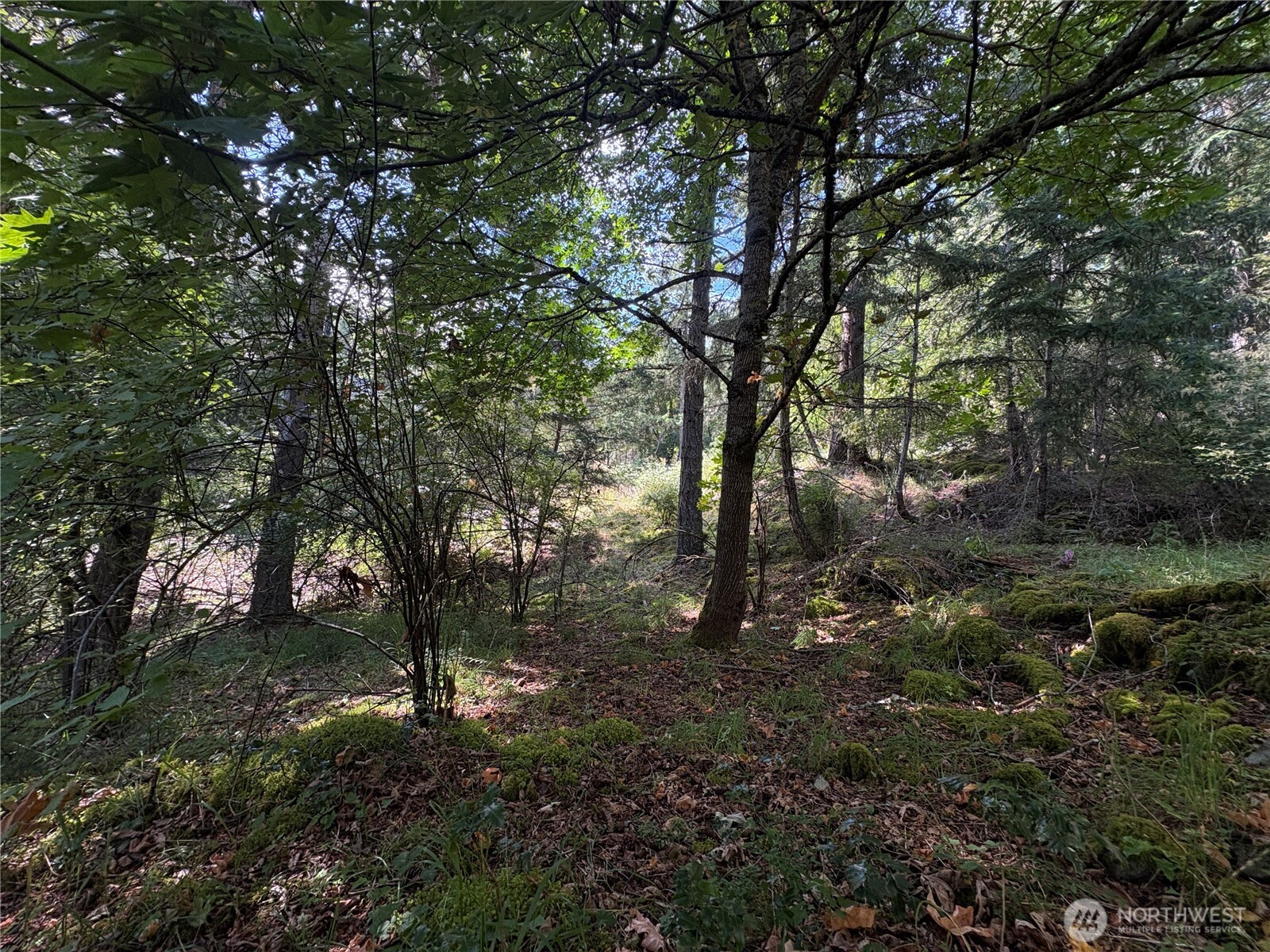 0 Lot 14 Rosario Road Lot 14 Property Photo 30