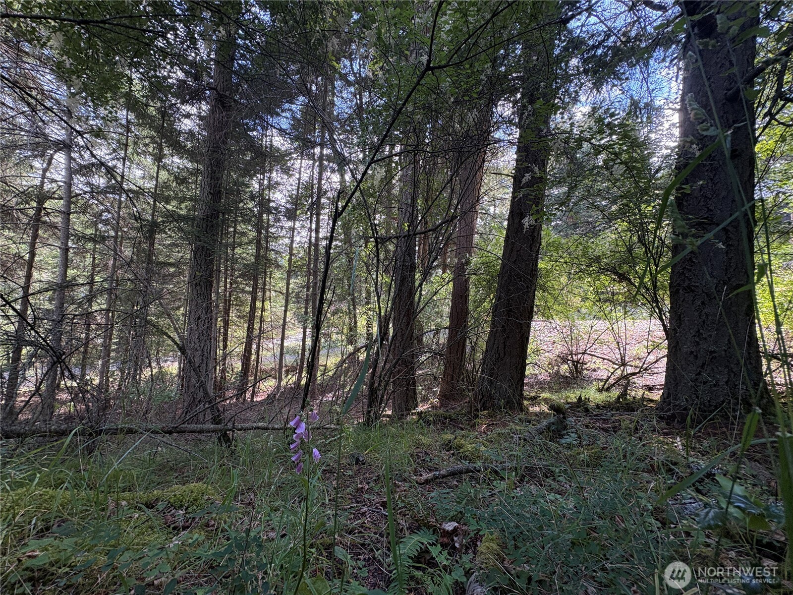 0 Lot 14 Rosario Road Lot 14 Property Photo 32