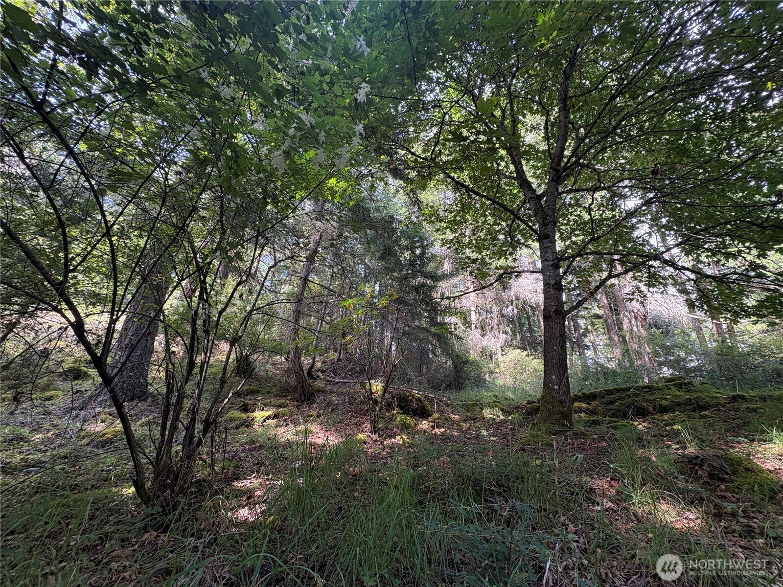 0 Lot 14 Rosario Road Lot 14 Property Photo 33