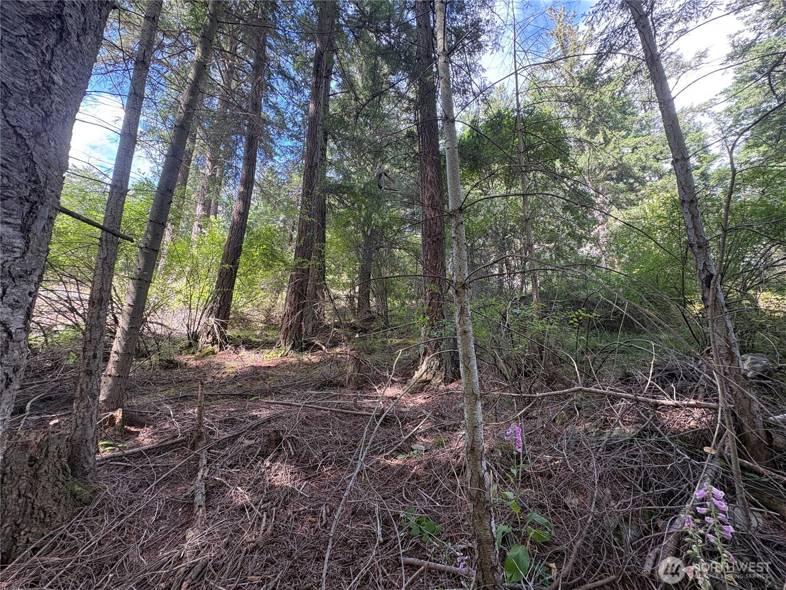 0 Lot 14 Rosario Road Lot 14 Property Photo 34
