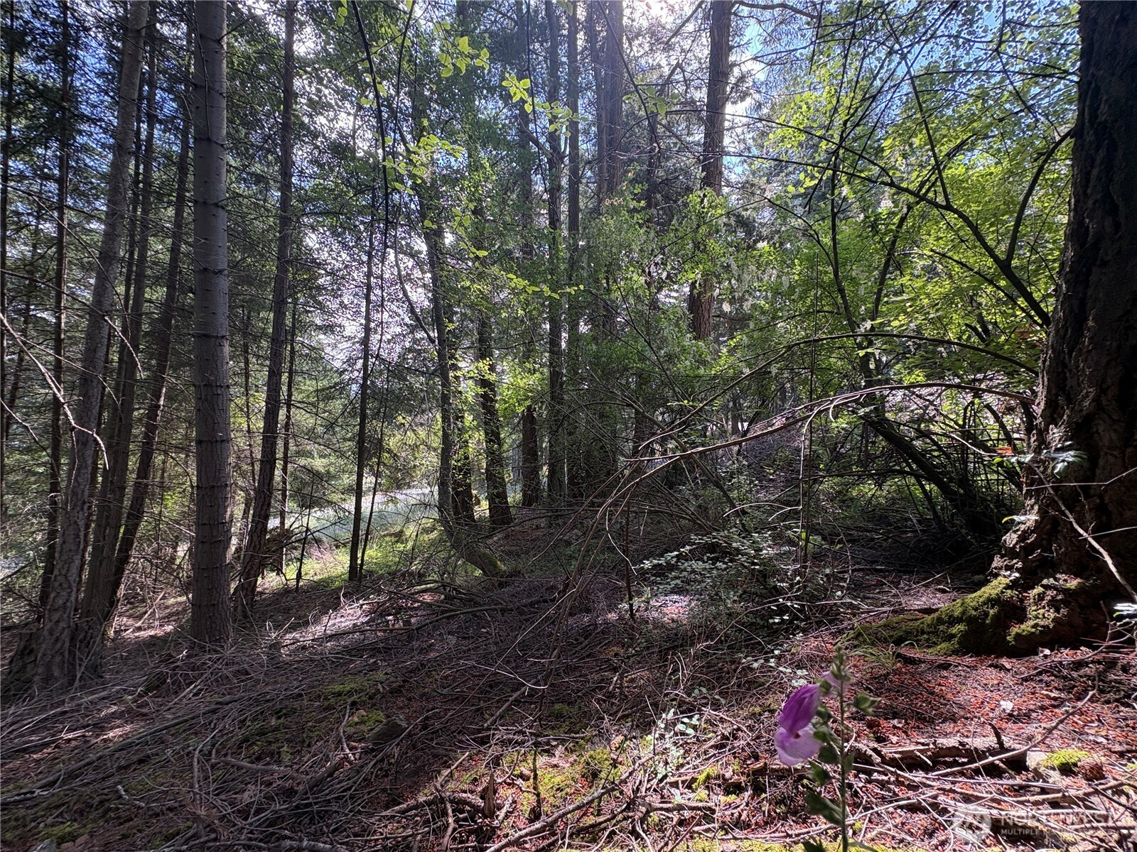 0 Lot 14 Rosario Road Lot 14 Property Photo 36