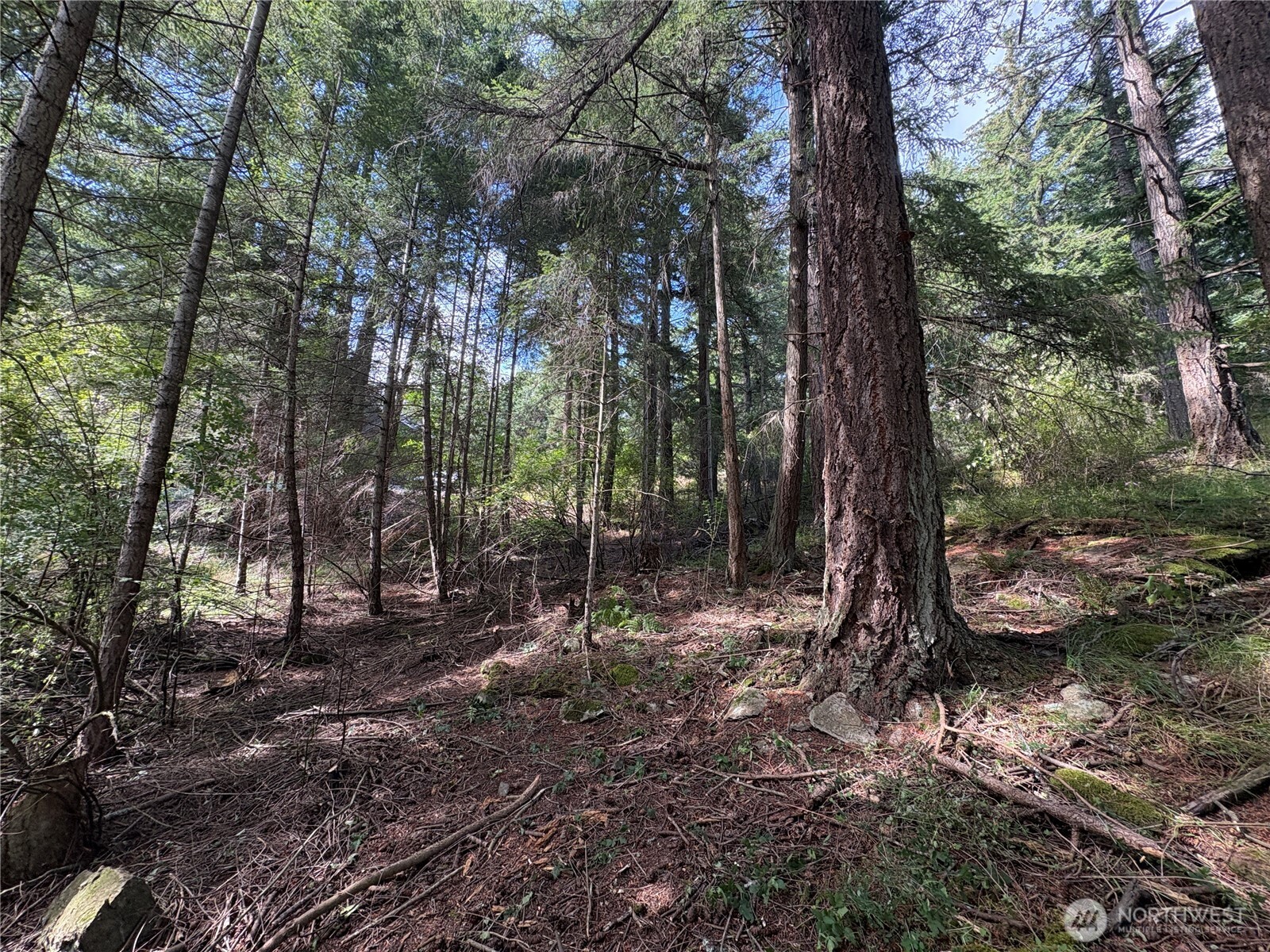 0 Lot 14 Rosario Road Lot 14 Property Photo 38