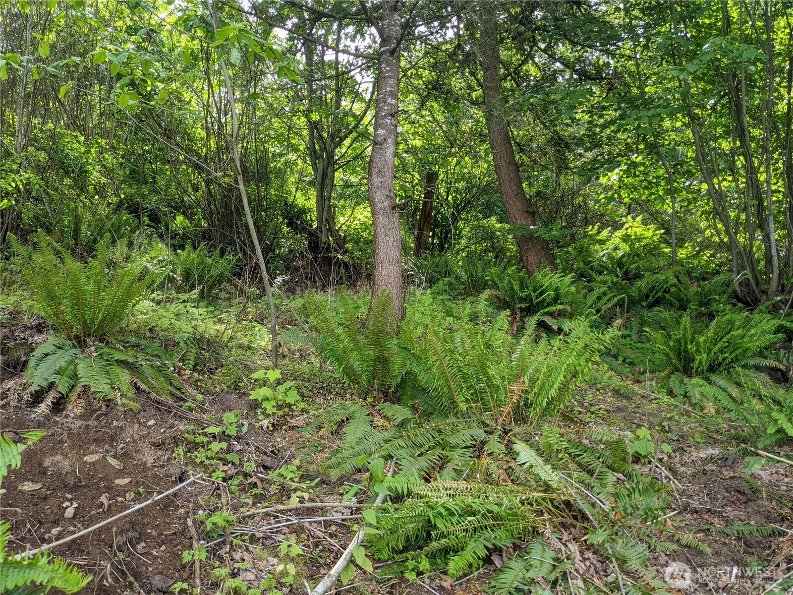 4135 Kamphouse Drive Property Photo 16