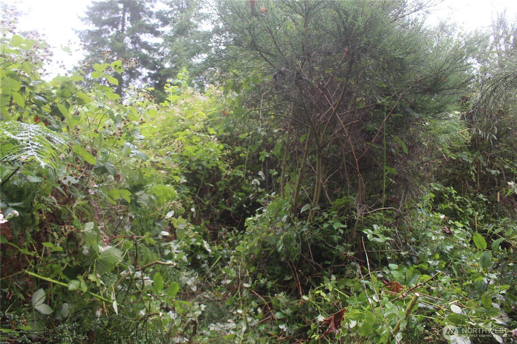 0 State Highway 104 Property Photo 4