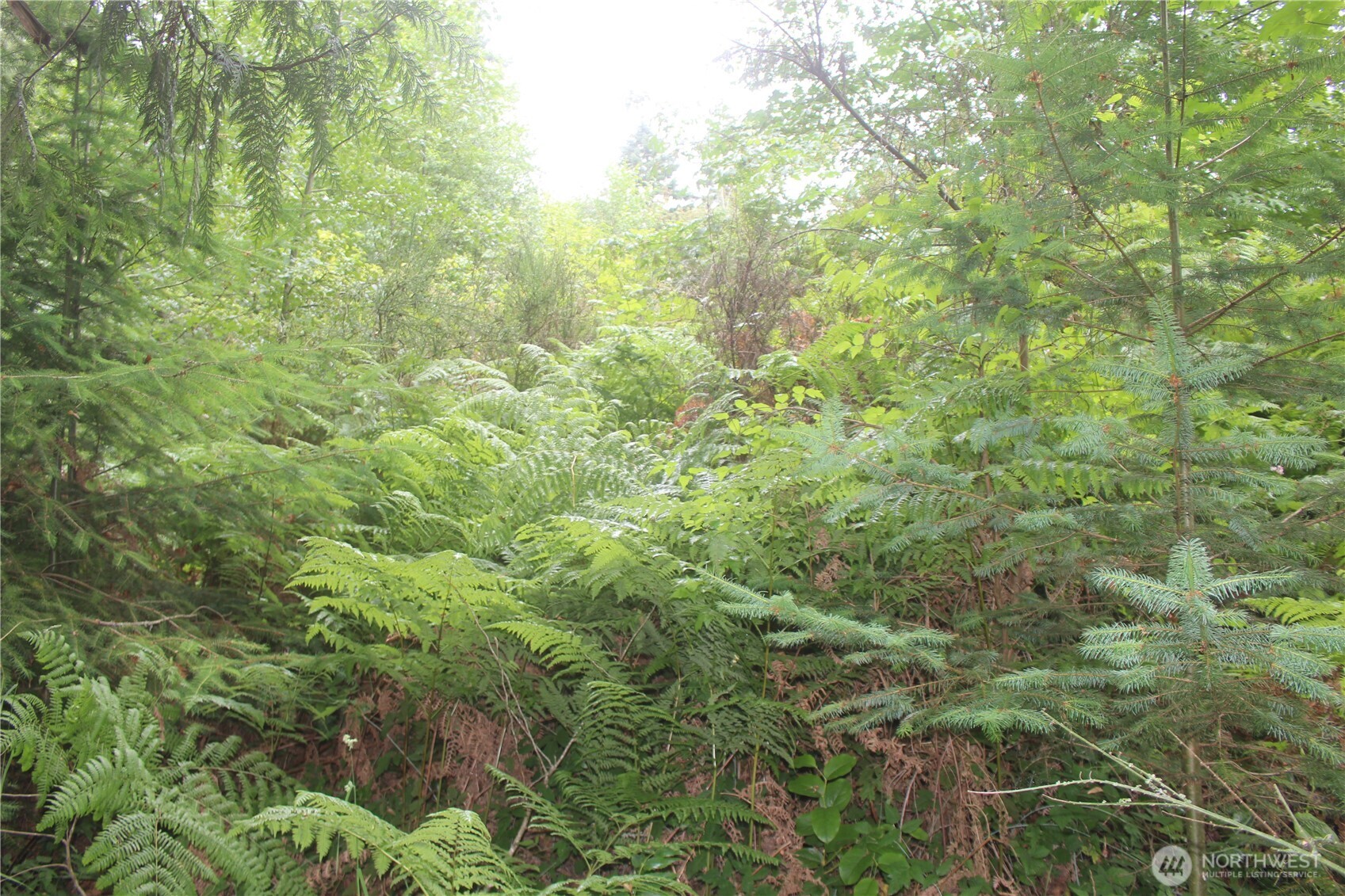 0 State Highway 104 Property Photo 5