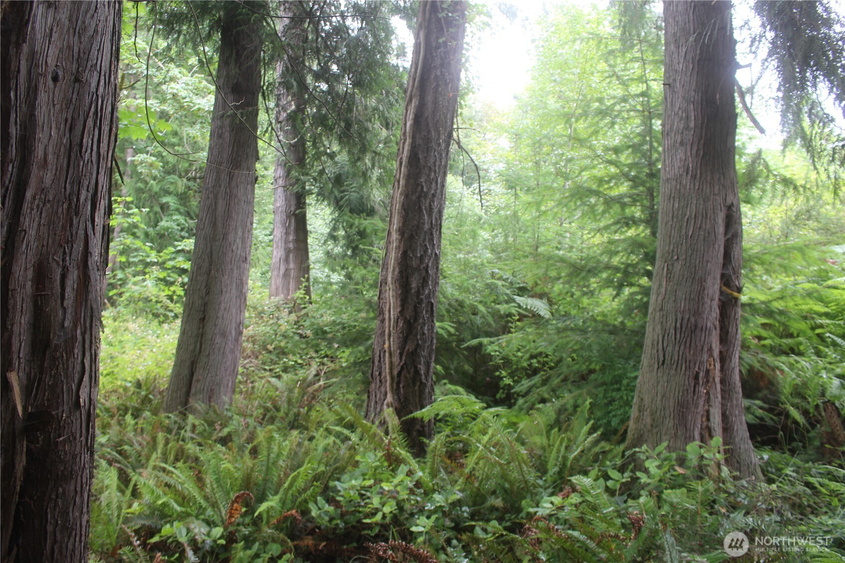 0 State Highway 104 Property Photo 6