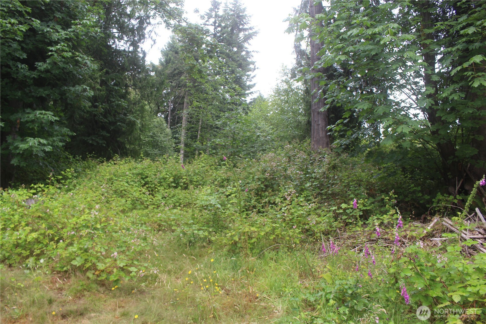 0 State Highway 104 Property Photo 7