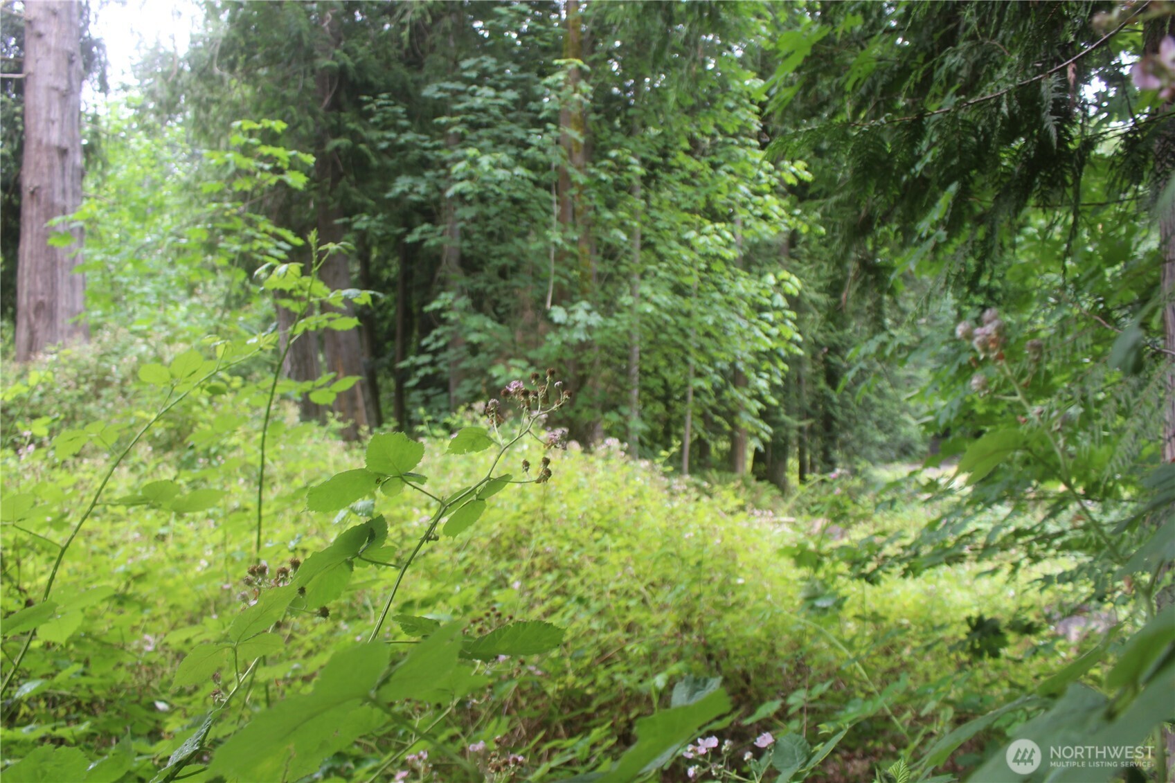 0 State Highway 104 Property Photo 8