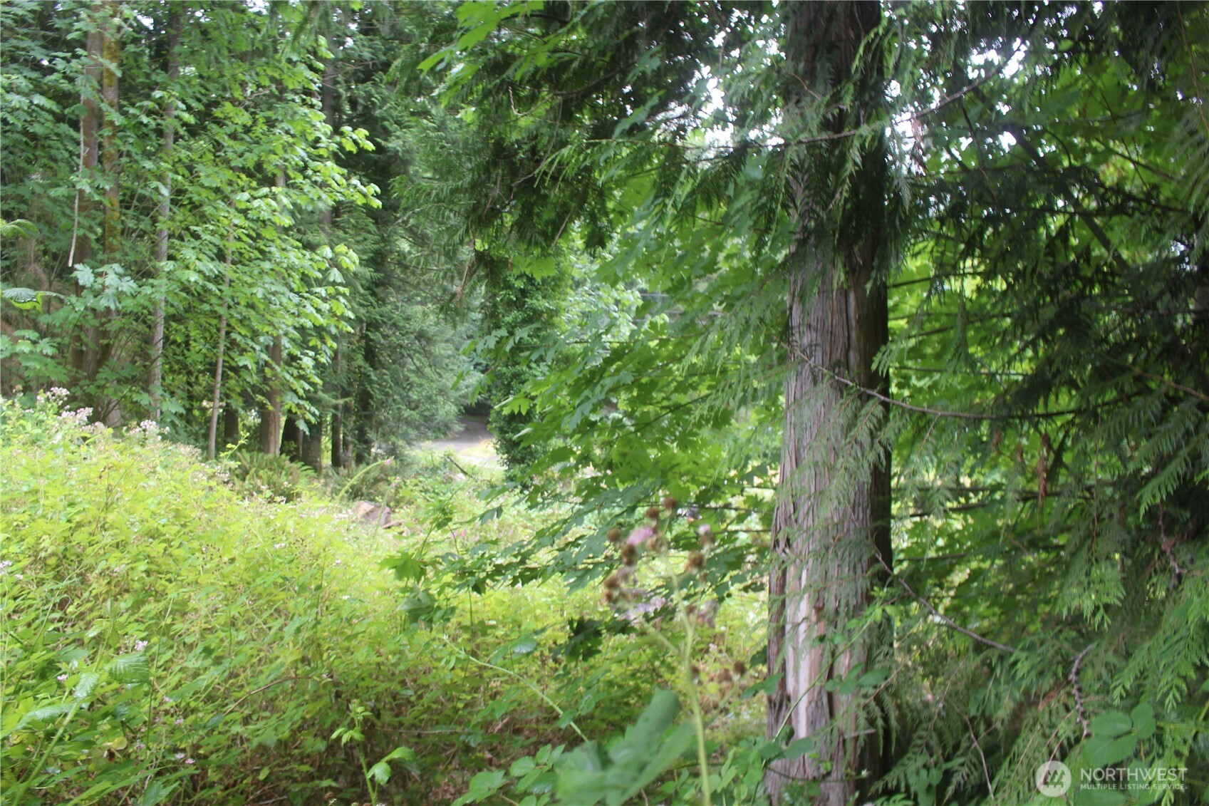 0 State Highway 104 Property Photo 9