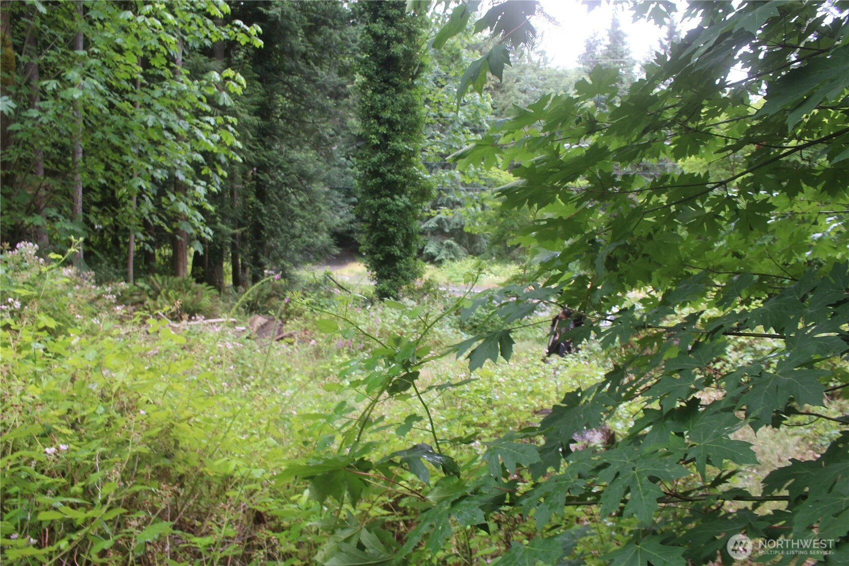 0 State Highway 104 Property Photo 10