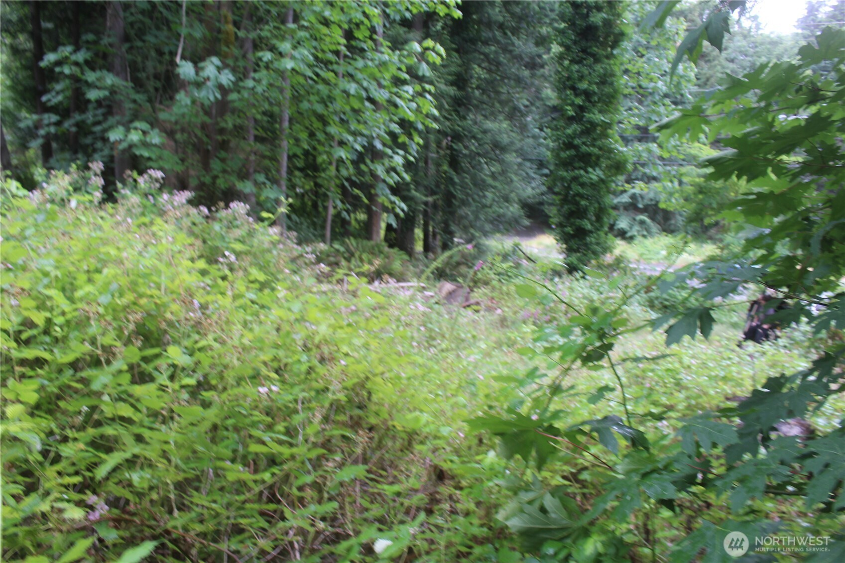 0 State Highway 104 Property Photo 11