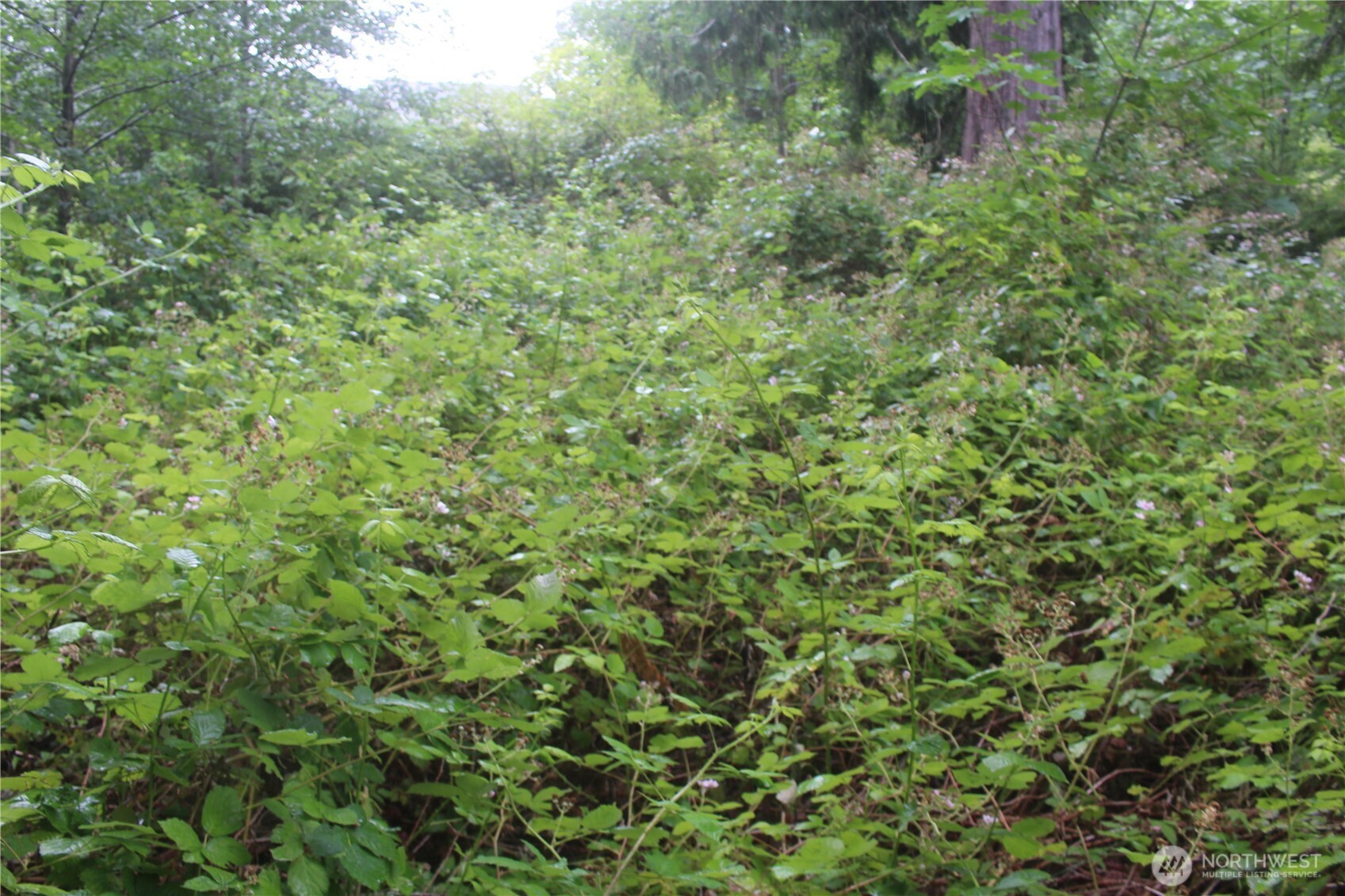 0 State Highway 104 Property Photo 12