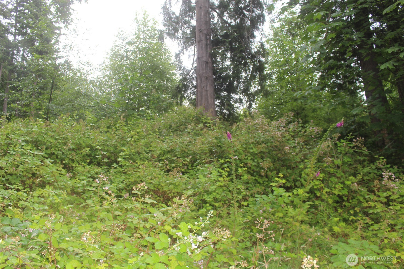 0 State Highway 104 Property Photo 13