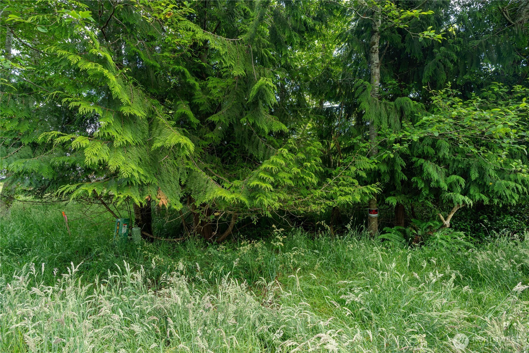 576 Chenois Avenue Property Photo 3