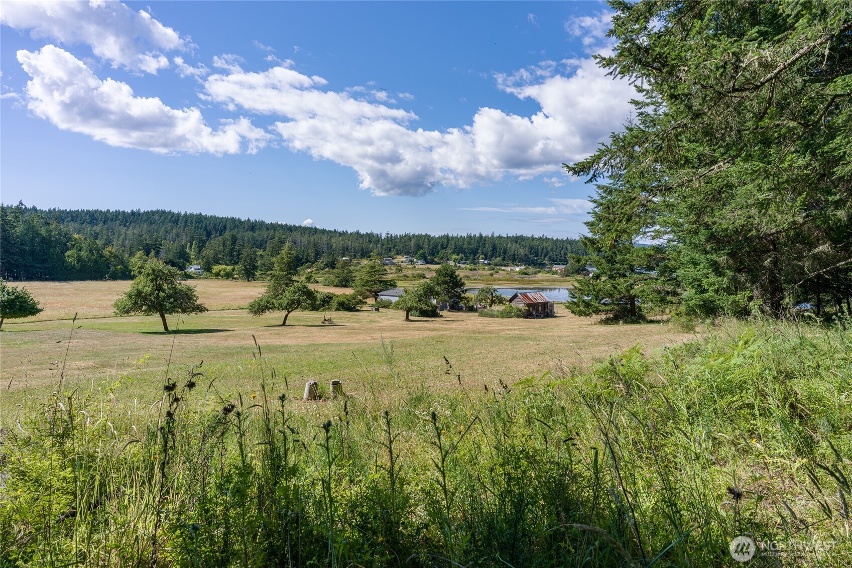 103 Less Traveled Road Property Photo 31