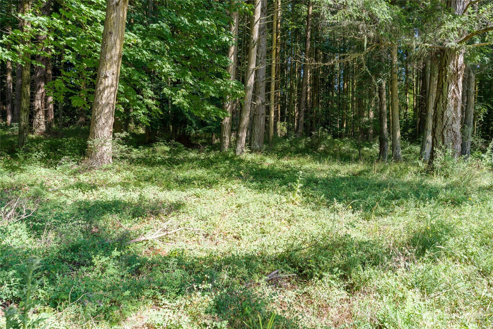 103 Less Traveled Road Property Photo 32