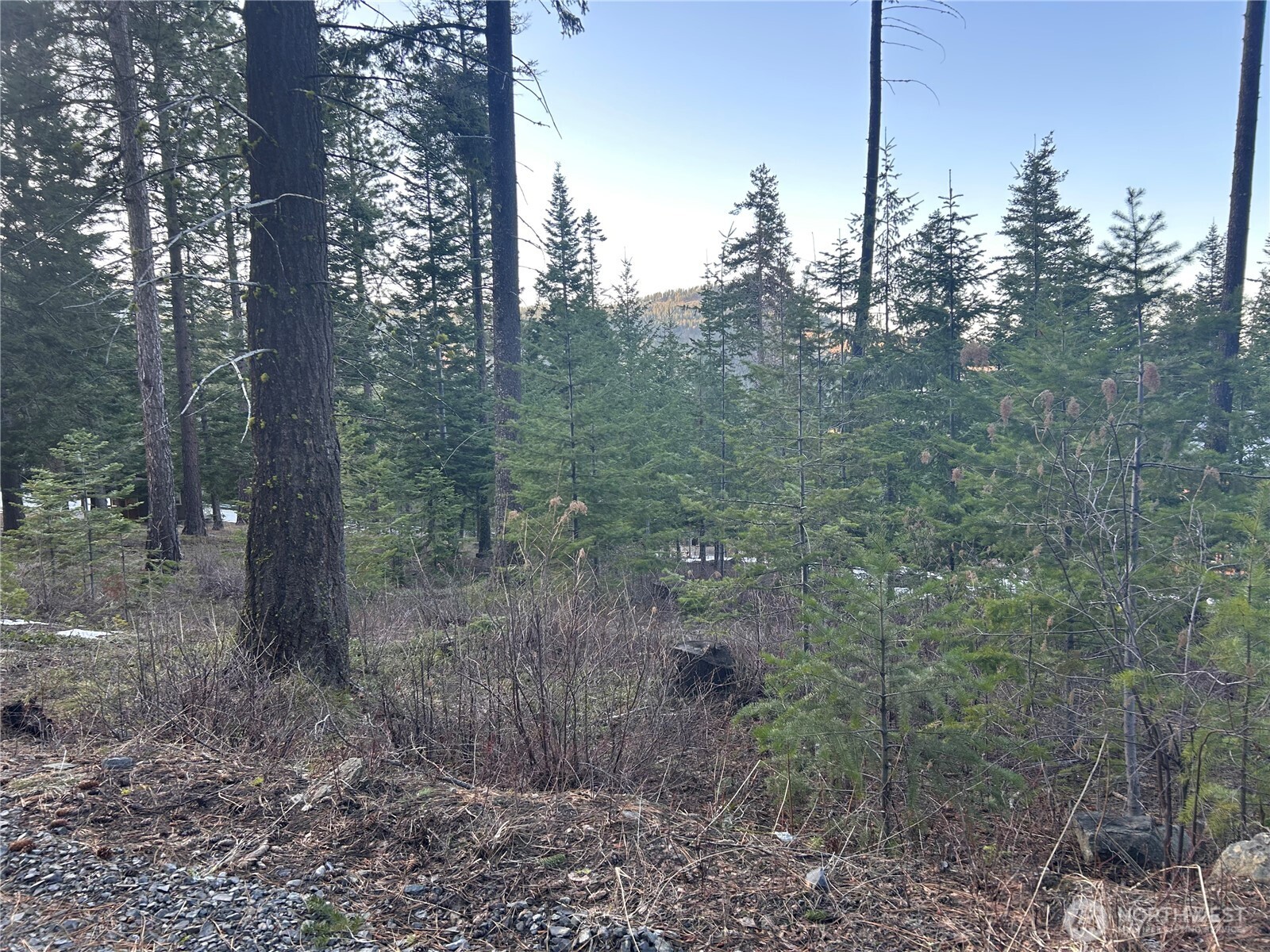 6761 Forest Ridge Drive Property Photo 2
