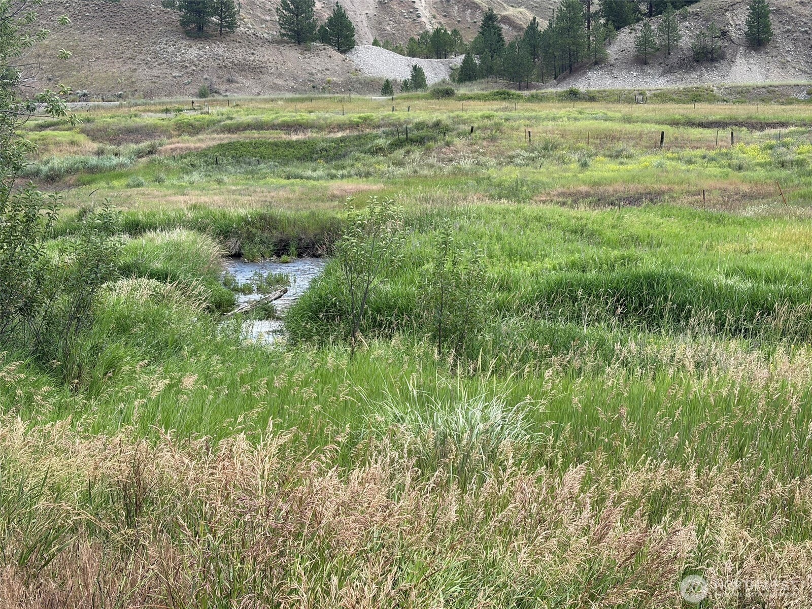 1 Tbd Lundimo Meadows Tract 1 Property Photo 1