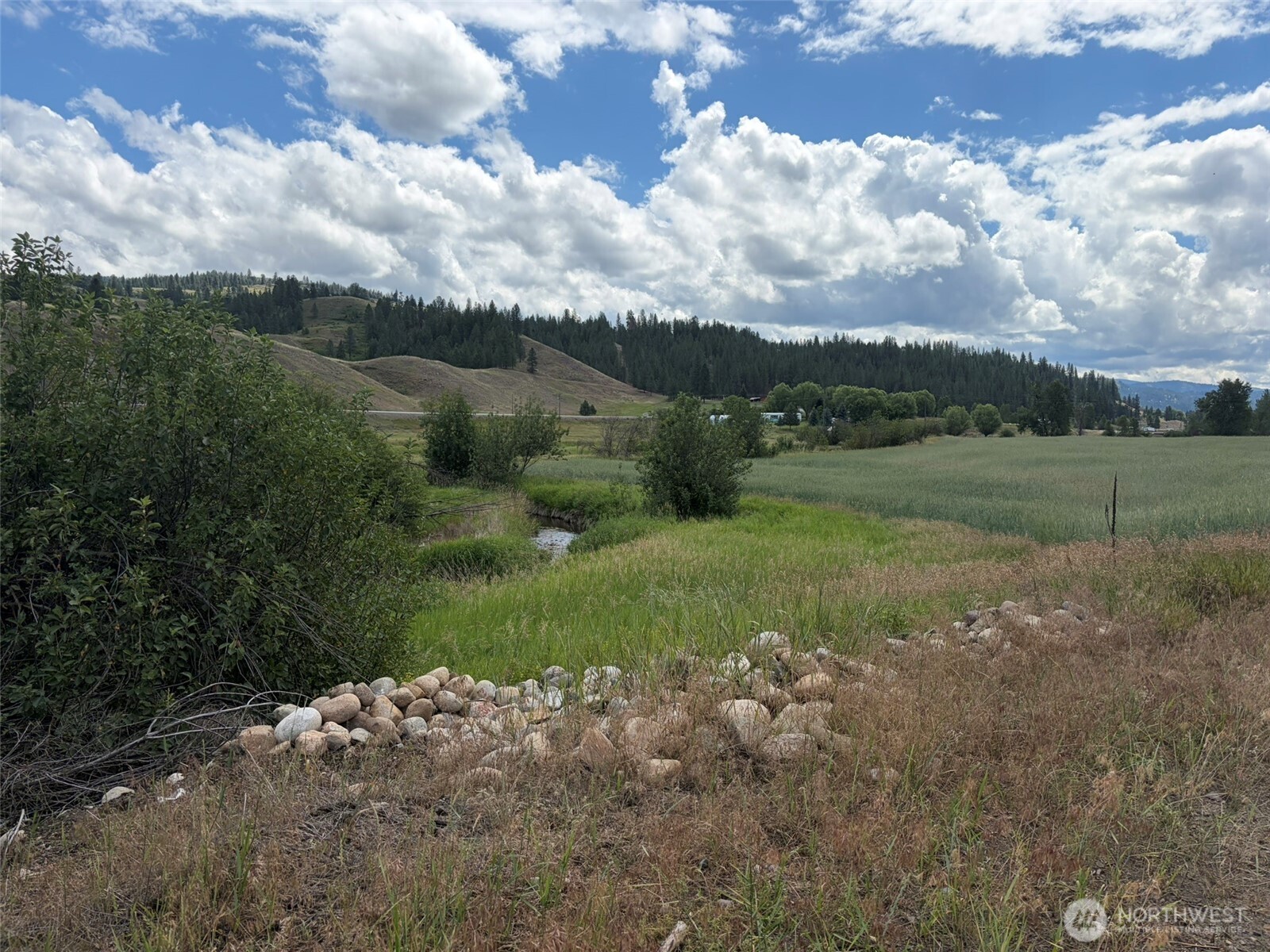 1 Tbd Lundimo Meadows Tract 1 Property Photo 2