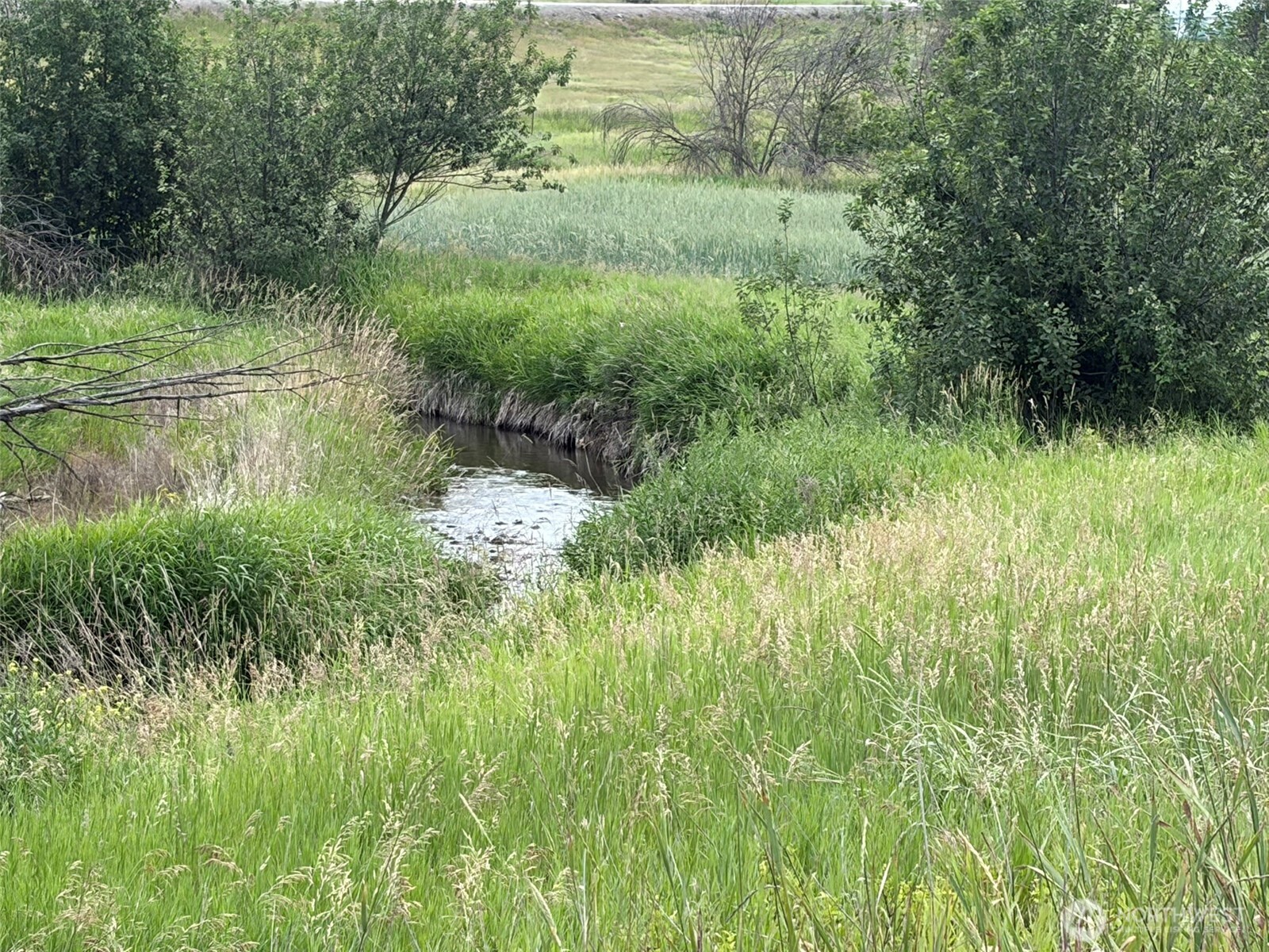 1 Tbd Lundimo Meadows Tract 1 Property Photo 3