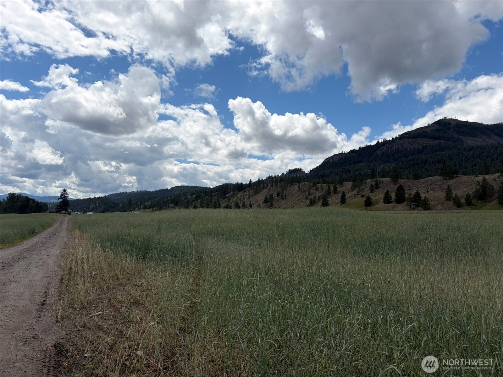1 Tbd Lundimo Meadows Tract 1 Property Photo 4