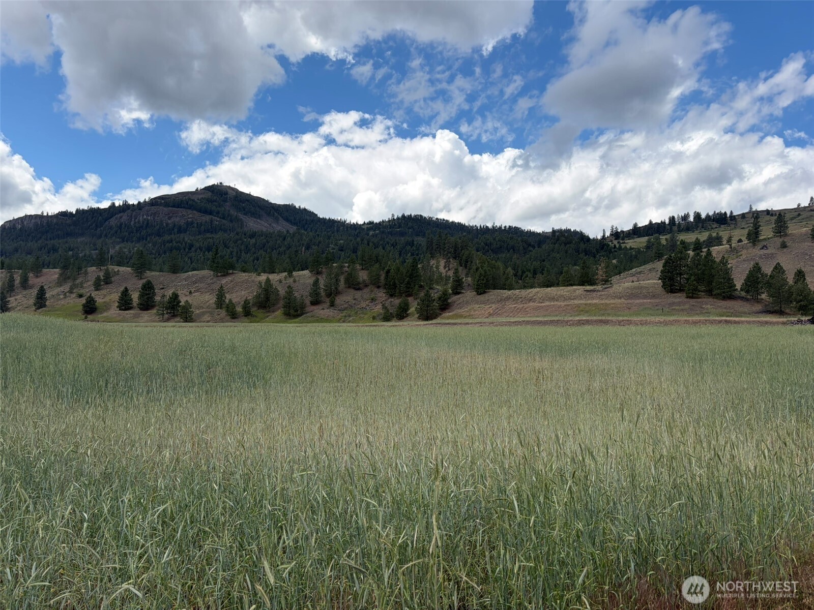 1 Tbd Lundimo Meadows Tract 1 Property Photo 5
