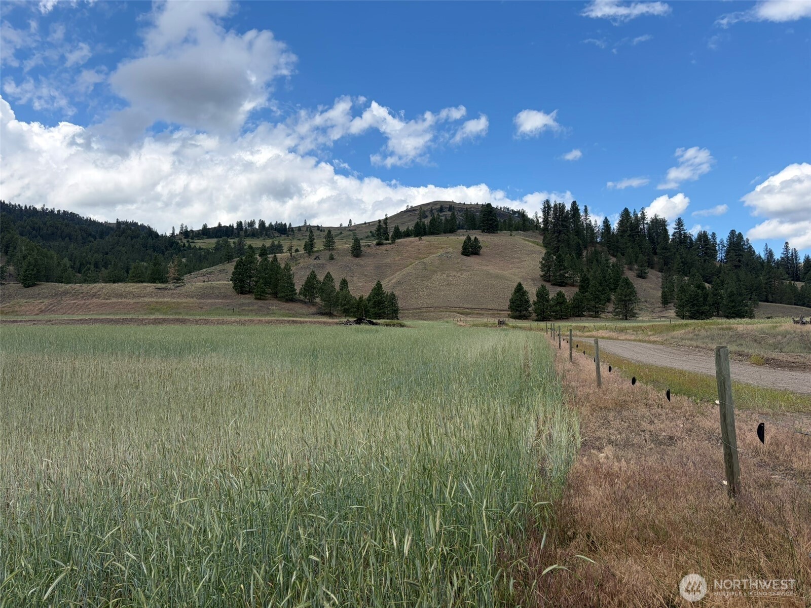 1 Tbd Lundimo Meadows Tract 1 Property Photo 6