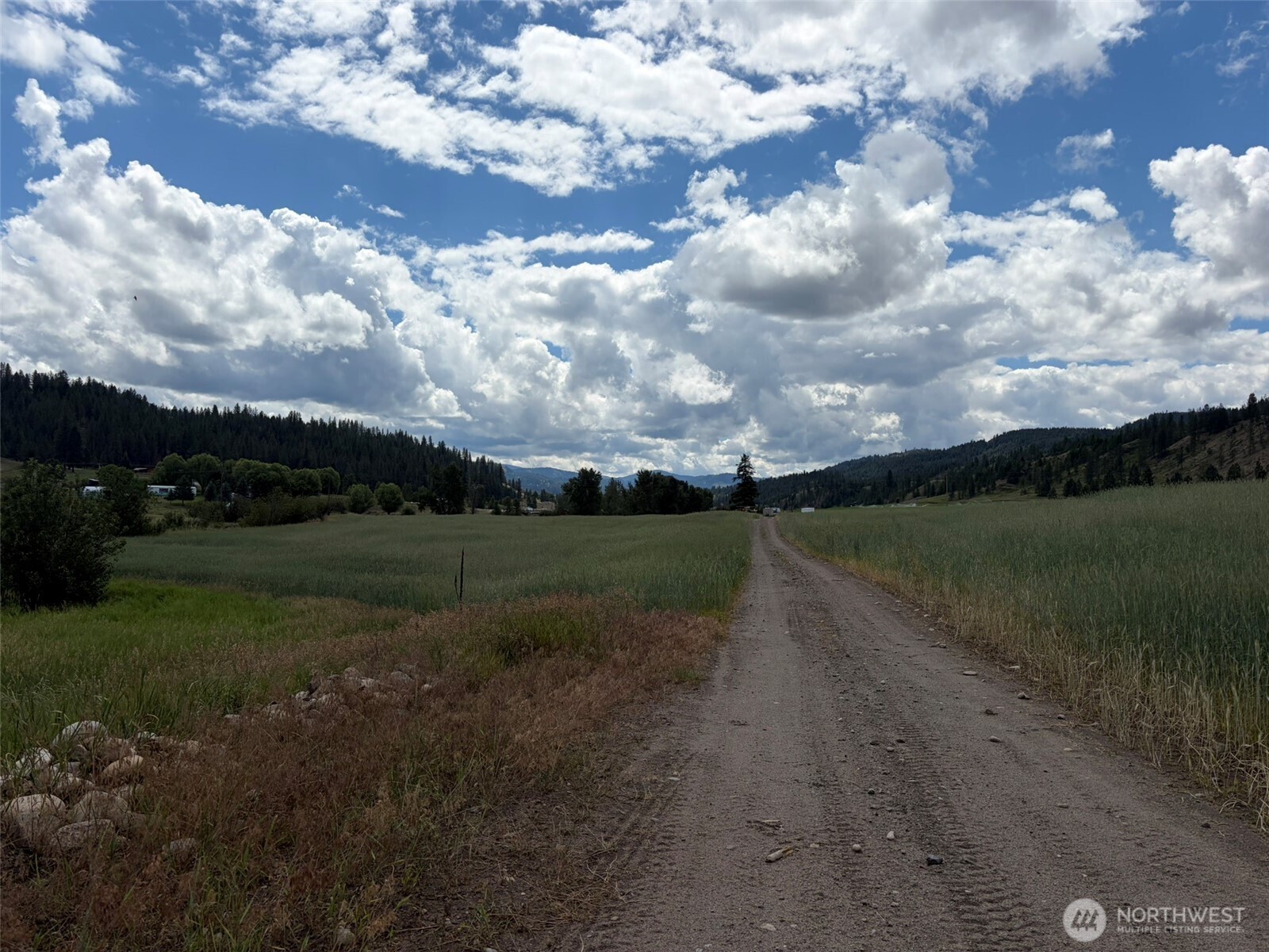 1 Tbd Lundimo Meadows Tract 1 Property Photo 7