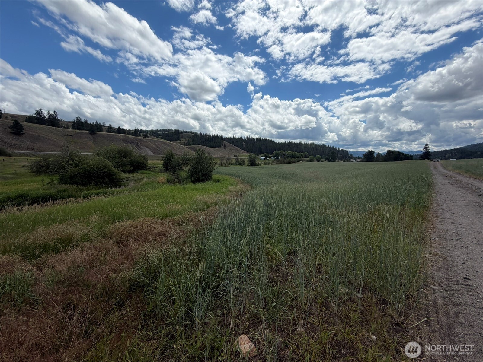 1 Tbd Lundimo Meadows Tract 1 Property Photo 8