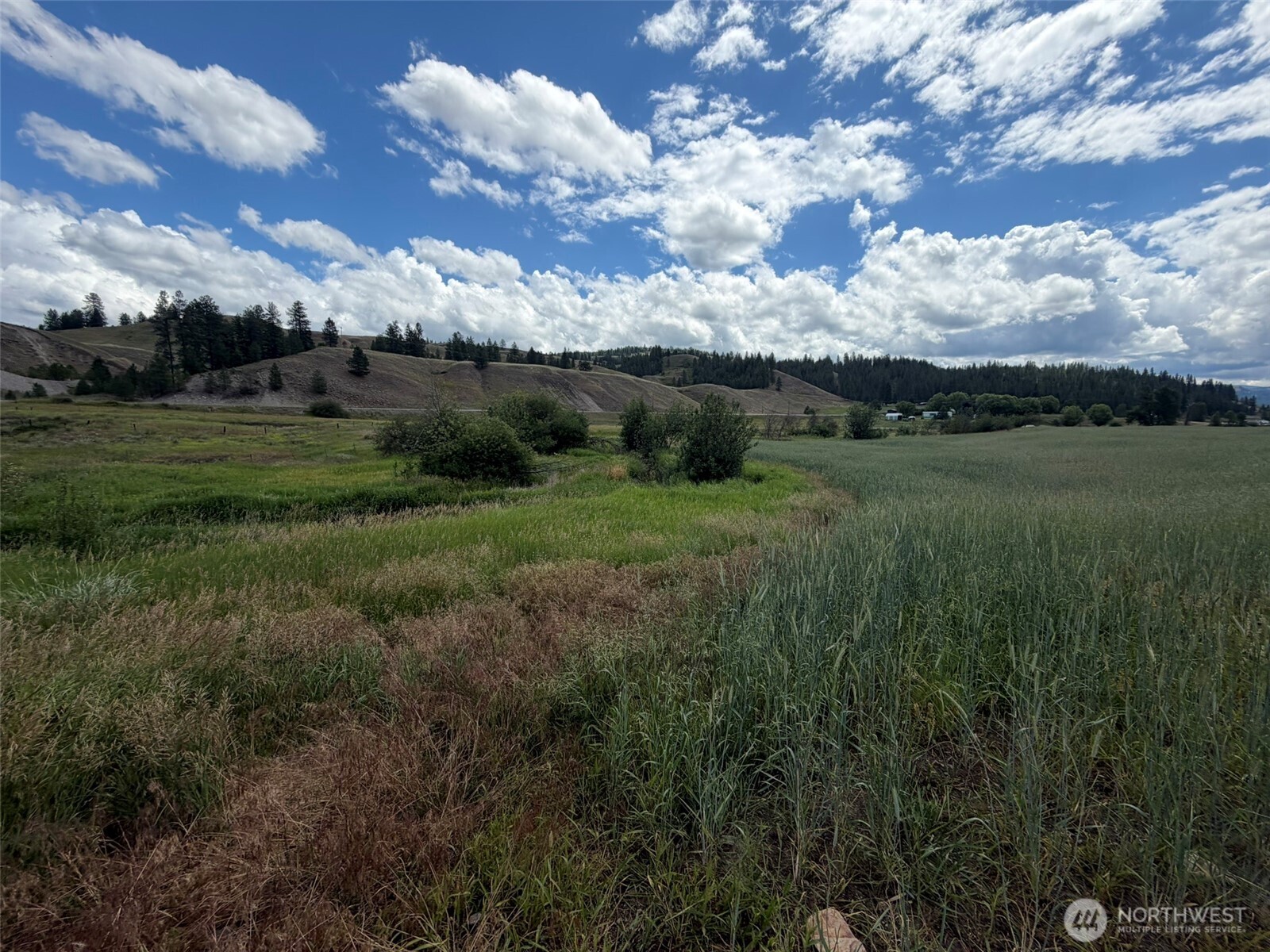 1 Tbd Lundimo Meadows Tract 1 Property Photo 9