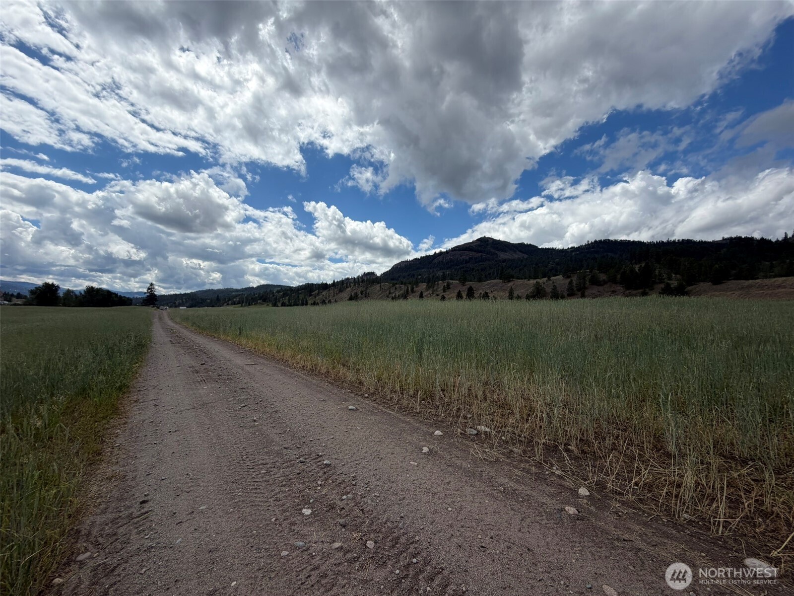 1 Tbd Lundimo Meadows Tract 1 Property Photo 10