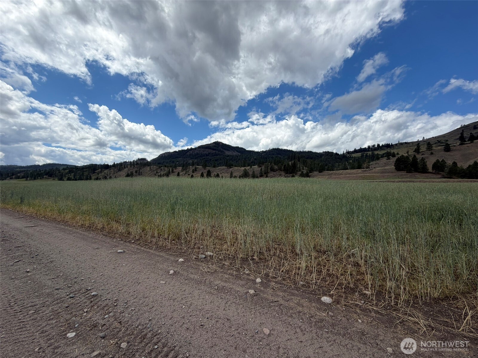 1 Tbd Lundimo Meadows Tract 1 Property Photo 11