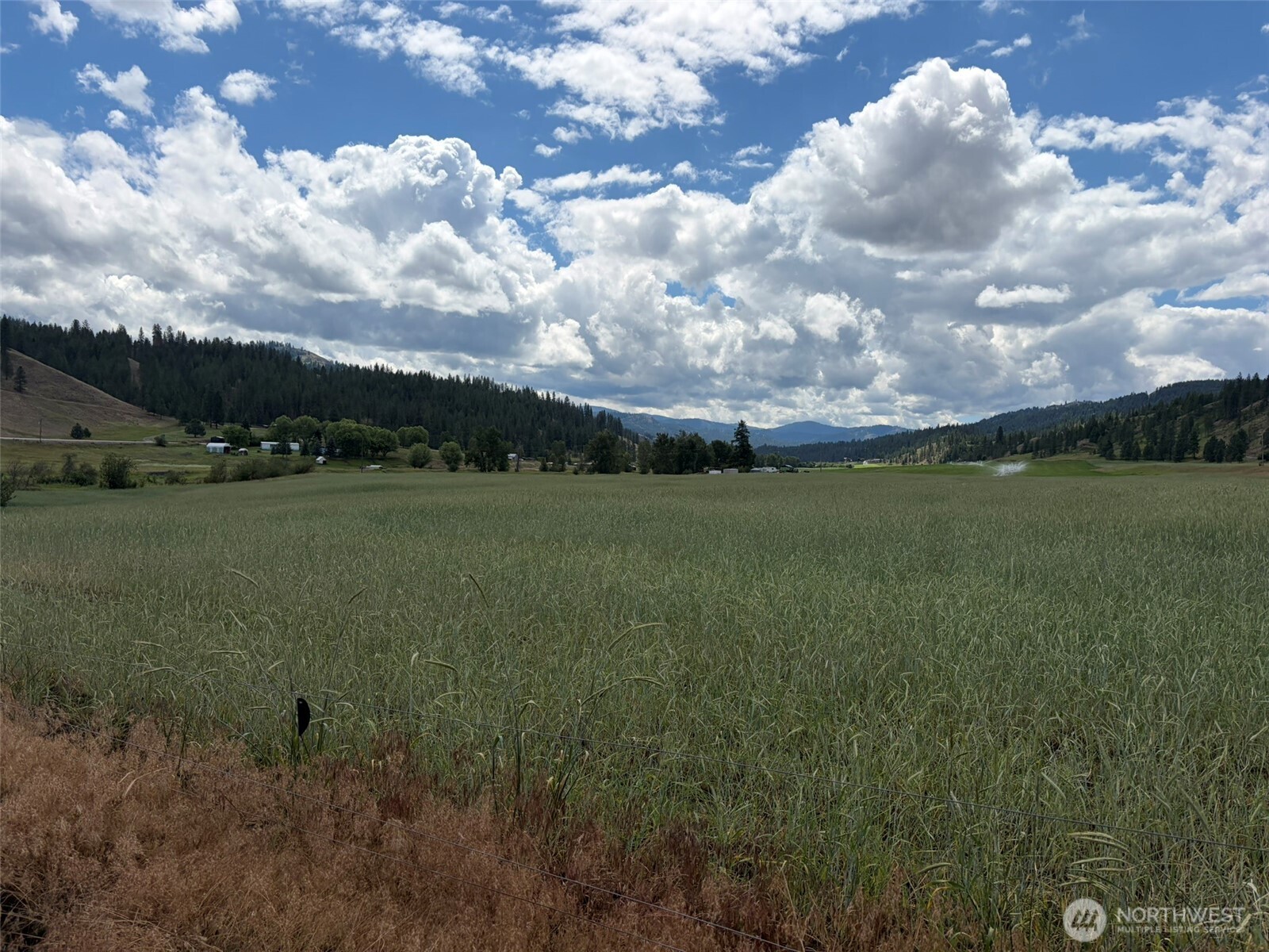 1 Tbd Lundimo Meadows Tract 1 Property Photo 12