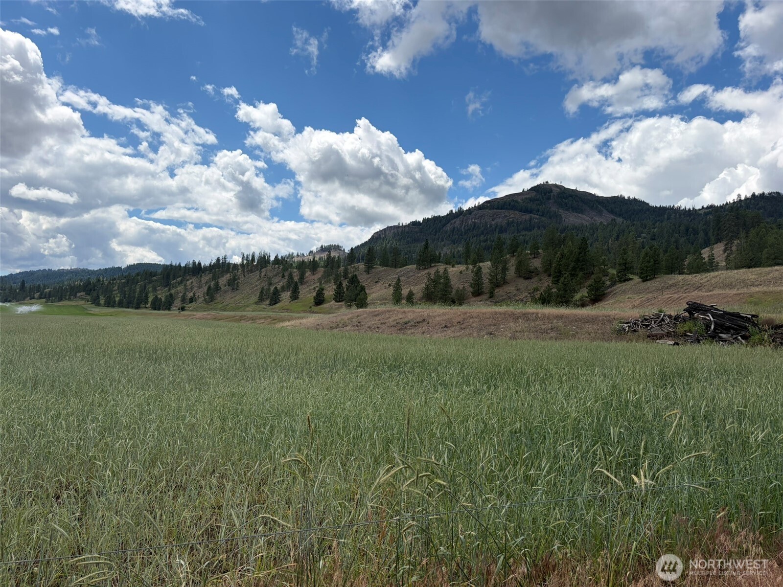 1 Tbd Lundimo Meadows Tract 1 Property Photo 13