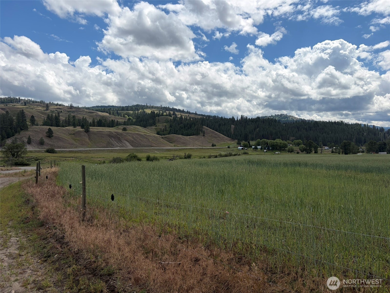1 Tbd Lundimo Meadows Tract 1 Property Photo 14