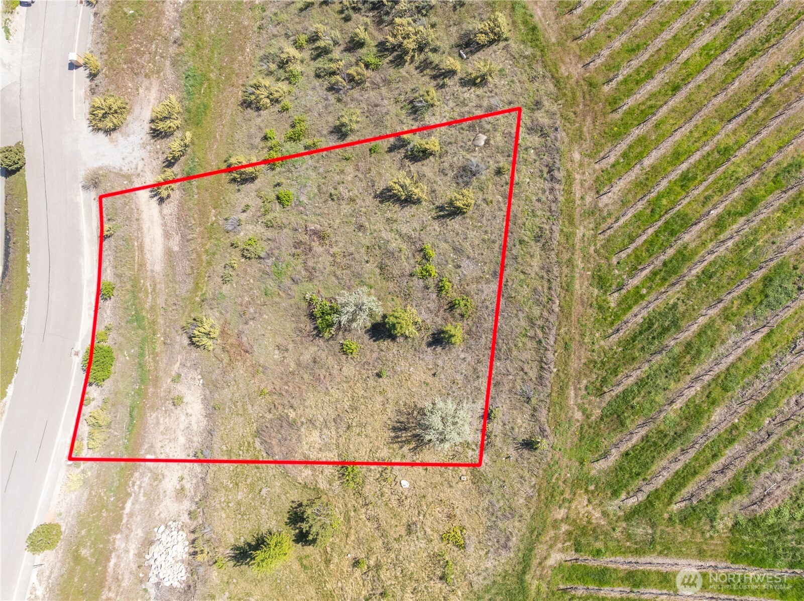306 Clos Chevalle Road Property Photo 8
