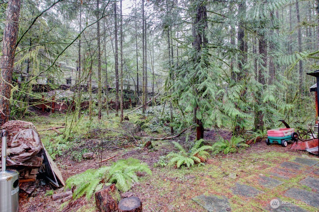 243 Schinn Canyon Court Property Photo 8
