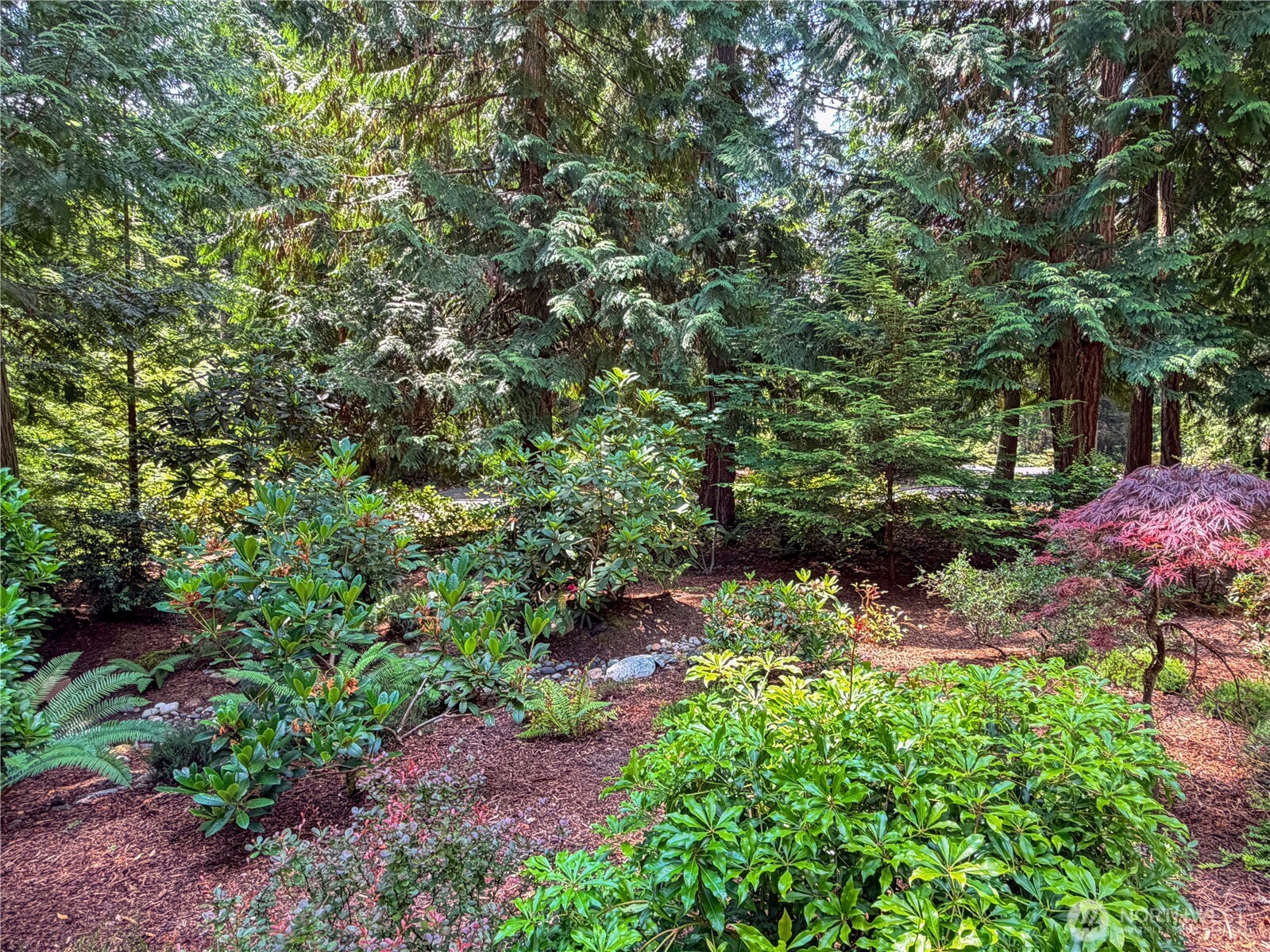 460 Pinecrest Property Photo 40
