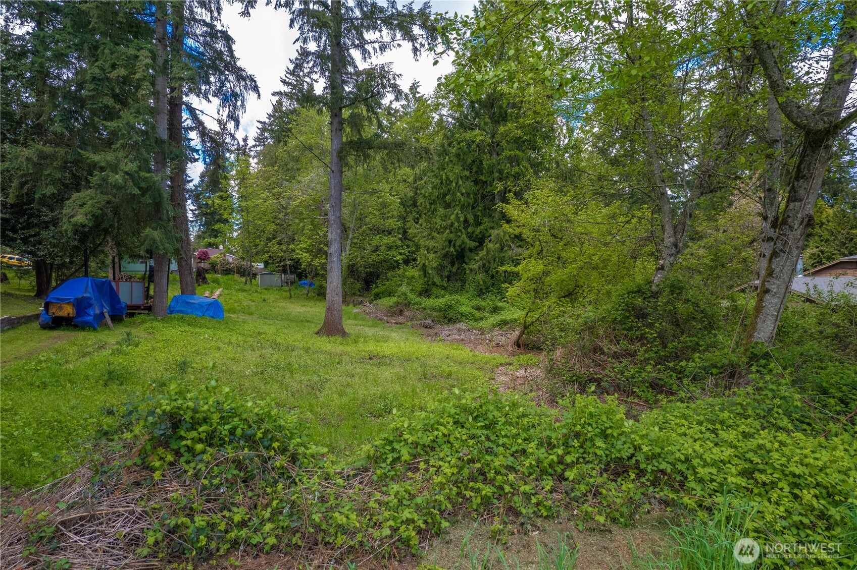 19506 56th Street Property Photo 3