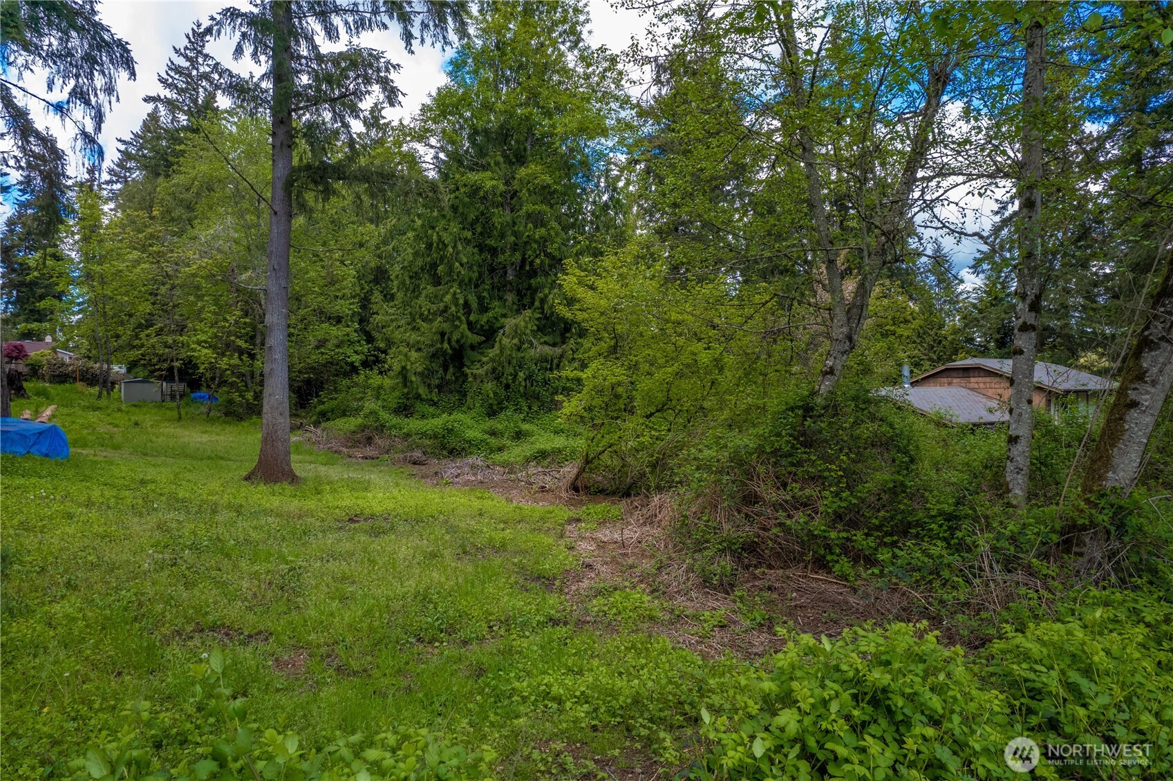 19506 56th Street Property Photo 4