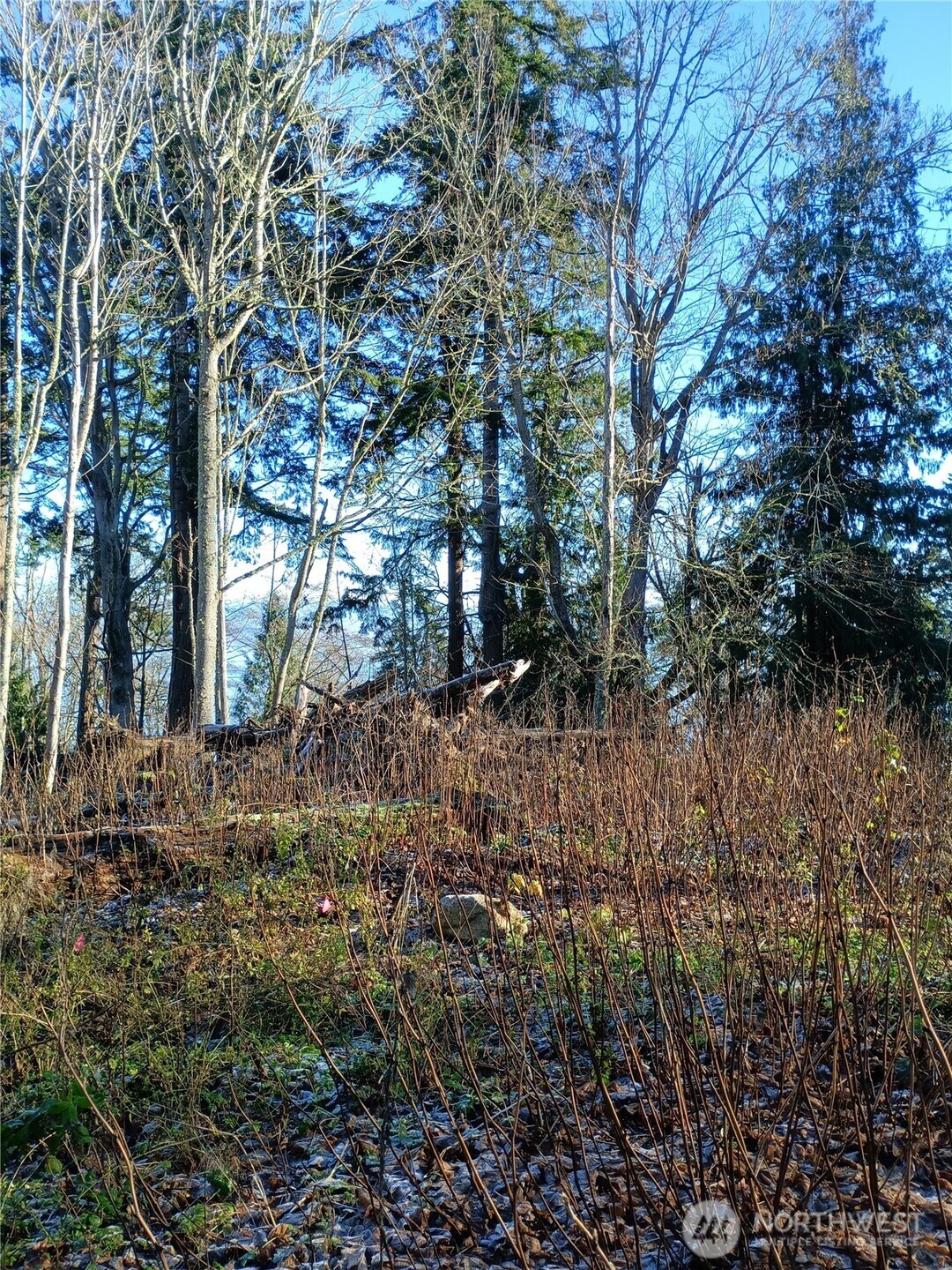 49 K Tulalip Way Property Photo 1