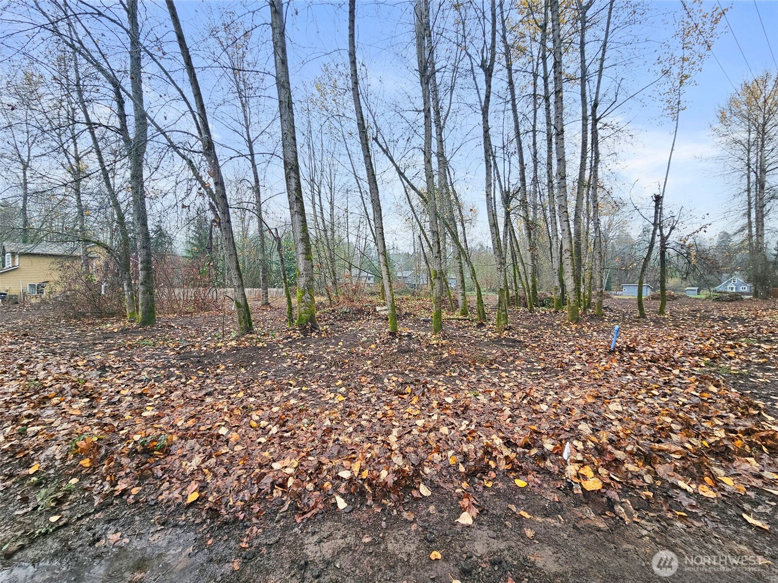 30598 100th Avenue Property Photo 16