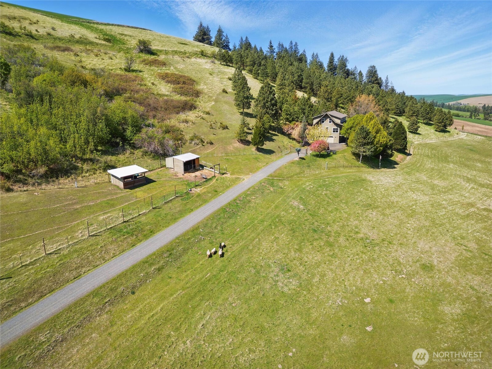 469 Tag Lane Property Photo 33