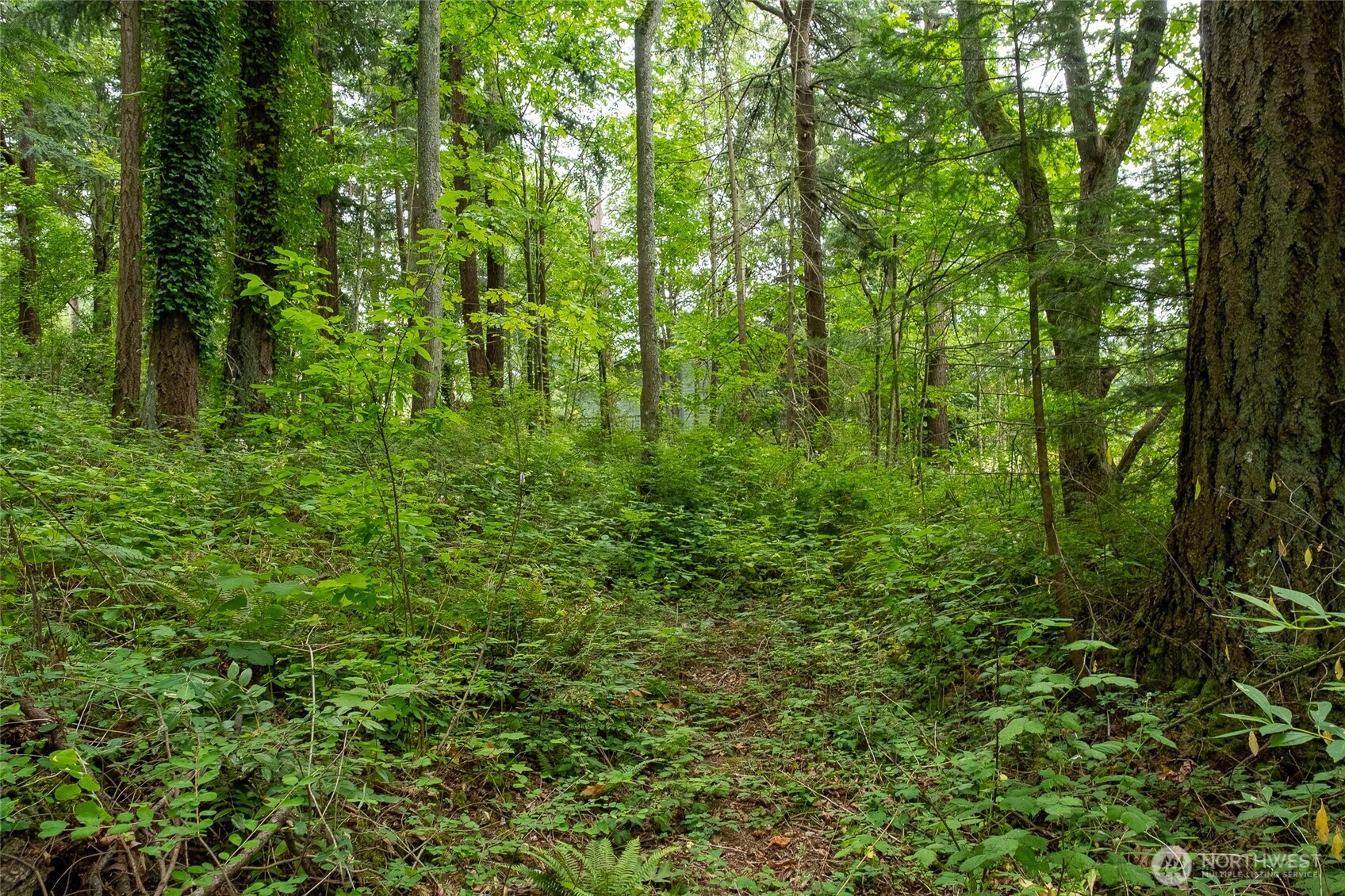 750 800 Samish Way Property Photo 11
