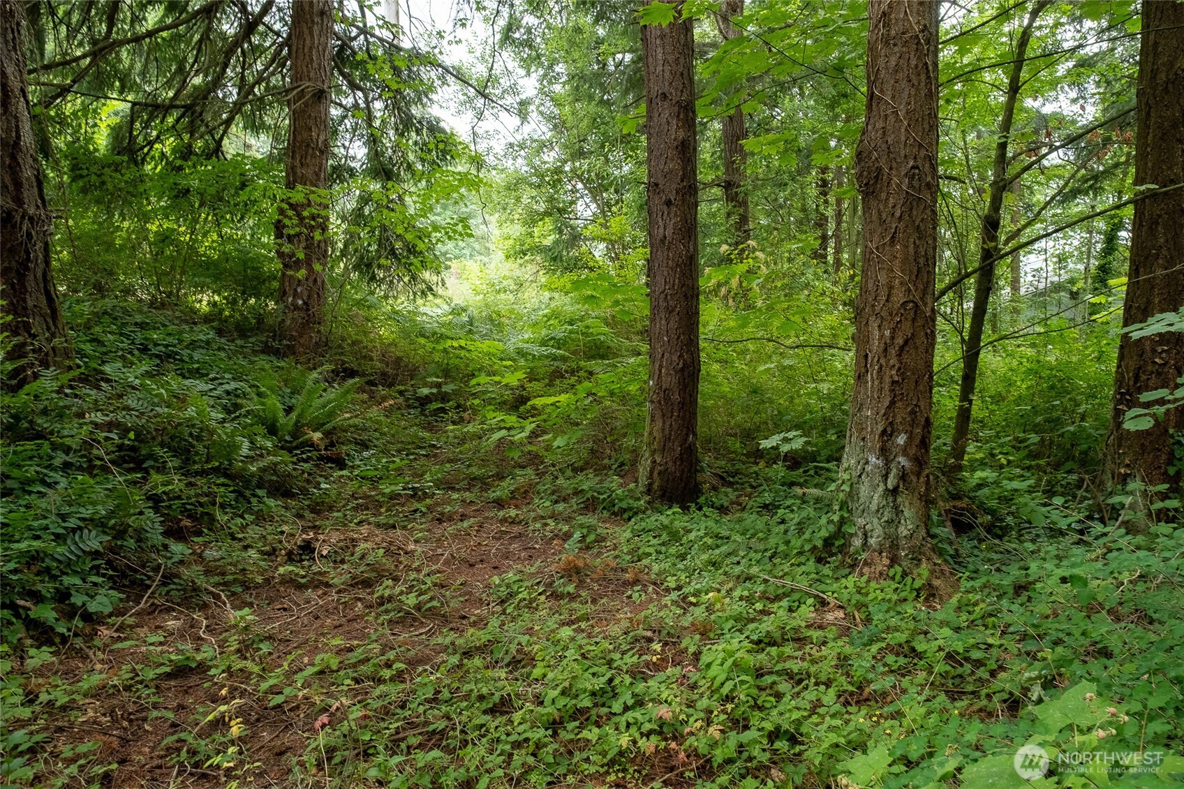 750 800 Samish Way Property Photo 13